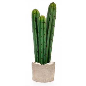 Cactus Altura 49 cms. 